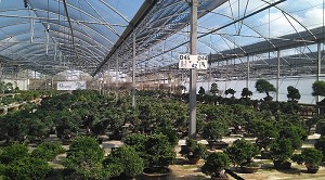LAjuntament de lArbo organitza una sortida per descobrir el cicle de laigua i gaudir de la natura i la gastronomia