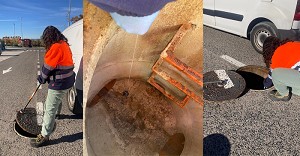 L´Arboç activa un dispositiu intensiu de desratització amb més de 60 punts d´actuació prioritària L´Arboç activa un dispositiu intensiu de desratització amb més de 60 punts d´actuació prioritària