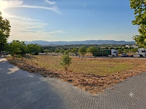 L´Ajuntament de l´Arboç valora molt positivament l´adjudicació de 48 habitatges de lloguer assequible L´Ajuntament de l´Arboç valora molt positivament l´adjudicació de 48 habitatges de lloguer assequible